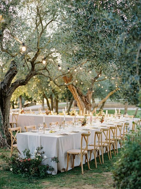 An open air wedding reception under the olive trees at Terre Di Nano. Italian Simple Wedding, Olive Rustic Wedding, Outdoor Italian Wedding Reception, Olive Tree Orchard, Alfresco Wedding Decor, Spring Italy Wedding, Tuscan Themed Wedding Reception, Outdoor Tuscan Wedding, Open Air Wedding Reception