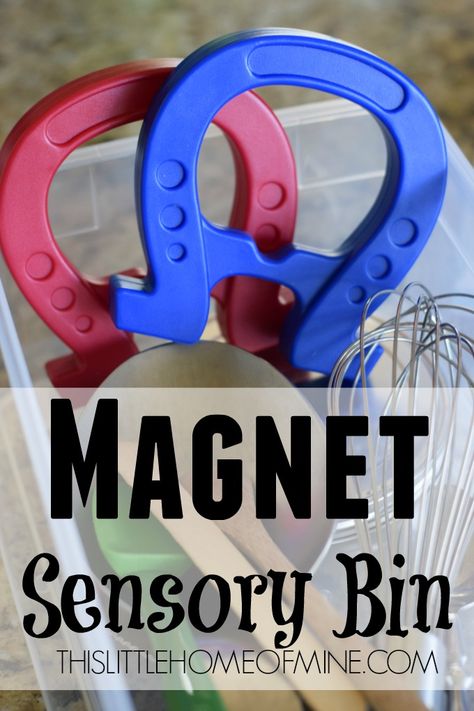 Homeschool Morning Routine, Magnets Science, Fun Magnets, Counting Money, Science Activity, Morning Time, Sensory Boards, Teaching Toddlers, Homeschool Inspiration