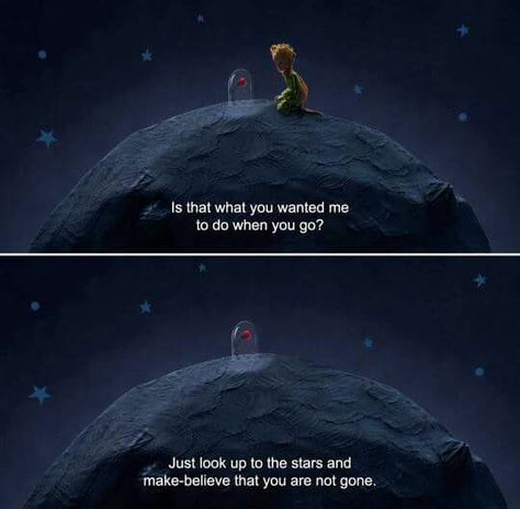 The little prince Looking Up At The Stars, 80s Aesthetic Wallpaper, Little Prince Quotes, Prince Quotes, Best Movie Quotes, Cinema Quotes, The Lone Ranger, Movies And Series, Movie Lines