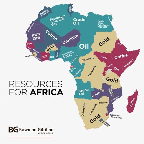 Languages Of Africa, African History Facts, African History Truths, African American History Facts, Homeschool Geography, African Map, Geography Map, Geography Lessons, History Education