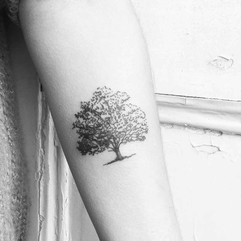 Tree Tattoo Designs -Top 33 Picks - Top Beauty Magazines Acorn Tree Tattoo, White Oak Tattoo, Celtic Oak Tree Tattoo, Oak Tattoo Tree, Live Oak Tattoo, Simple Oak Tree Tattoo, Oak Tree Tattoo For Women, Bord Tattoo, Oak Tree Tattoos