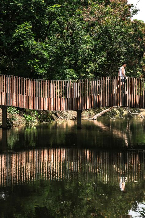 The Bird Wave Bridge Bridging the Gaps by Shma | Parks Outdoor Bridges, Garden Decoration Ideas, Wooden Bridge, Urban Park, Landscape Architects, Pedestrian Bridge, Bridge Design, Wood Bridge, Urban Area