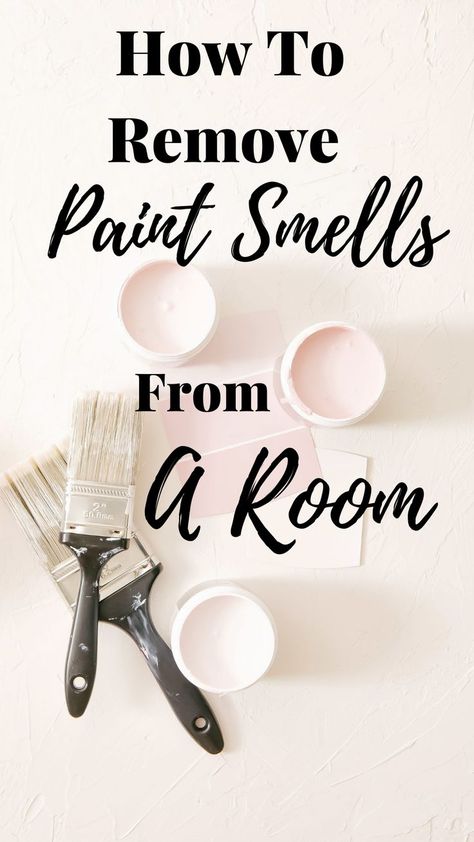 how to remove paint smells from a room , paint and paint pots . How To Get Rid Of Paint Smell In House, How To Remove Paint, Smell Remover, Paint Smell, Remove Paint, Paint Thinner, Room Smells, Gloss Paint, Paint Remover