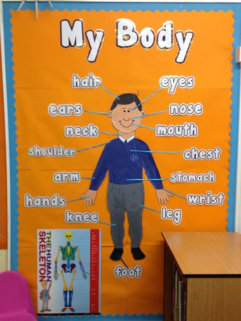 My Body Parts Display, classroom display, class display, Ourselves, All About Me, bodies, body, body parts, Early Years (EYFS), KS1 & KS2 Primary Resources My Body Preschool, All About Me Eyfs, All About Me Topic, My Body Parts, Body Parts Preschool Activities, All About Me Theme, Body Preschool, Body Parts Preschool, Preschool Science Activities