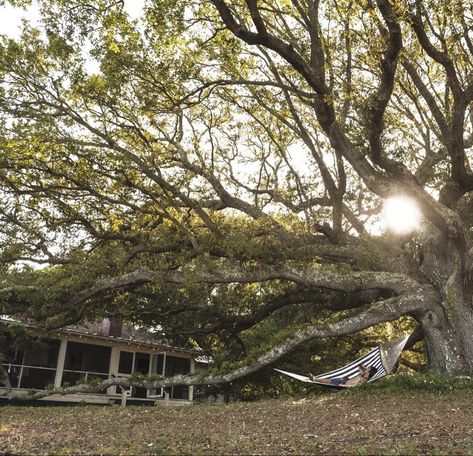 outer banks season 1 behind the scenes Outer Banks Houses, Australian Beach, John B, The Chateau, Plant Aesthetic, Paradise On Earth, Best Series, Girls Life, Outer Banks