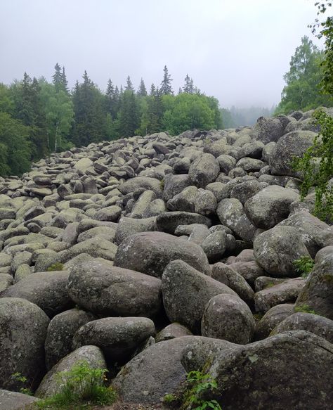 Stone rivers - Vitosha Mountain (14.06.20) Vitosha Mountain, High Mountain, Stone Mountain, Nature Pictures, Wonder, Stone, Nature