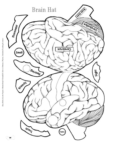 Brain hat.pdf - Google Drive Brain Crafts For Kids, Brain Hat, Template Black And White, Human Body Projects, Brain Models, Brain Craft, About Brain, Human Body Activities, Human Body Unit