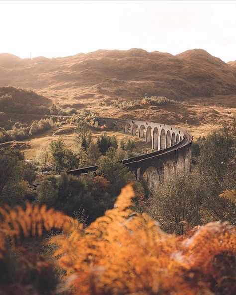 Strong Photo, Hufflepuff Aesthetic, Autumn Rain, Hogwarts Aesthetic, Autumn Magic, Autumn Nature, Fall Travel, Autumn Vibes, Autumn Cozy