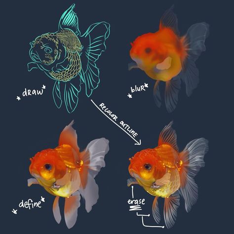 Haze Long on Instagram: “Painting a goldfish is easy when you can have layers. 🌕sketch n draw. 🌕layer 1 - shadow colors blurred, transparent fins 🌕layer 2 -…” Goldfish Color Palette, How To Paint Transparent Objects, Jelly Fish Digital Art, How To Draw A Goldfish, How To Draw Goldfish, Fish Painting Tutorial, Goldfish Reference, Goldfish Sketch, Layered Drawings