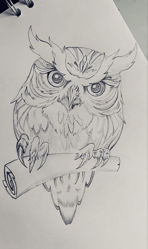 Sketches Of Owls Pencil Drawings, Drawings Of Owls Pencil, Owl Drawings Sketches, Owl Drawing Sketches Simple, Owl Artwork Drawing, How To Draw A Owl, Owl Sketch Tattoo, Owl Design Drawing, Owl Sketch Simple