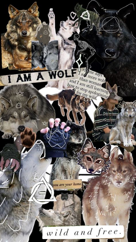 Wolf therian wallpaper!!!! #therianwallpaper Therian Wallpaper, Wolf Therian, Maybe In Another Life, Wolf Wallpaper, Forest Floor, Wild And Free, Pretty Wallpapers, Collage