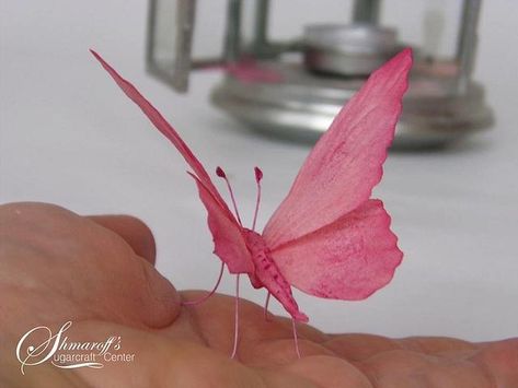 Wafer Paper Tutorial, Wafer Flowers, Wafer Paper Butterflies, Silk Butterfly, Wafer Paper Flowers, Wafer Paper Cake, Butterfly Cake, Cake Craft, Butterfly Cakes