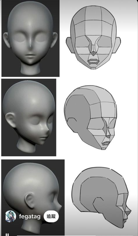 Anime Face Reference, Face Reference Female, Facial Planes, Blender Character Modeling, Head Anatomy, Zbrush Tutorial, Anatomy Sculpture, Anime Face, Blender Models