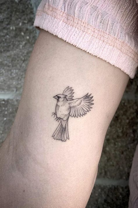 12 Best Small Cardinal Tattoo Ideas Cardnial Tattoo, Cardinal Tattoo Ideas, Red Cardinal Tattoos, Small Cardinal Tattoo, Bold Tattoo, Cardinal Tattoo, Red Bird Tattoos, Bird Tattoos For Women, Cardinal Tattoos