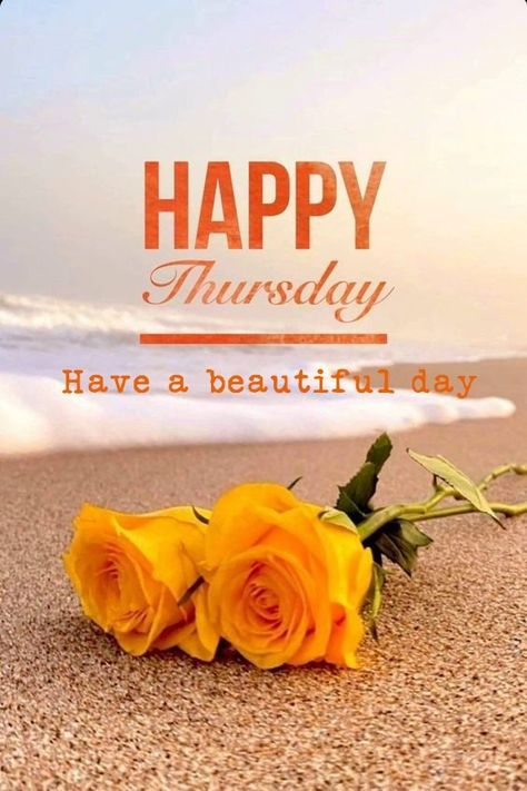 happy thursday images beach Happy Thursday Images Beautiful, Happy Thursday Morning, Good Morning Thursday Images, Happy Thursday Images, Thursday Images, Thursday Greetings, Good Morning Happy Thursday, Happy Thursday Quotes, Good Morning Thursday