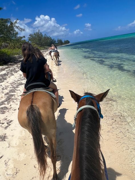 Horseback riding, horses, beach, sand, water, caribbean, beachride, horses in the sand, swim, swimming horses, swimming with horse, riding horse in water, ocean, caribbean, Jamaica Horseback Riding, Hawaii Horseback Riding, Swimming With Horses, Horses Swimming, Horse Riding Beach, Riding Horses On The Beach, Horse Beach Riding, Horse In Water, Horse On Beach