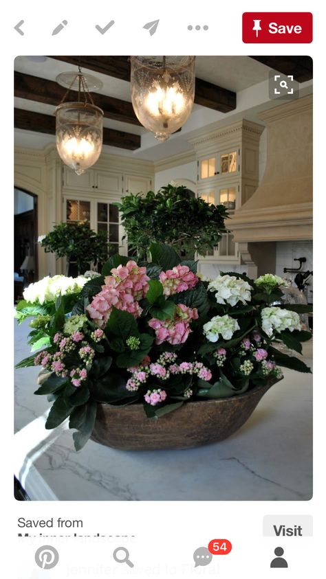 Bowl Arrangements, Hydrangea Potted, The Enchanted Home, Enchanted Home, Garden Containers, Dough Bowl, Mantle Decor, Beautiful Blooms, Container Plants