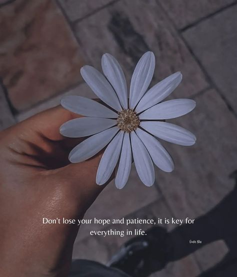 Agree Quotes, Nature Quotes Beautiful, Patience Quotes, Inspirational Quotes Background, Life Is Beautiful Quotes, Whatsapp Status Quotes, Look Up Quotes, Cute Inspirational Quotes, Cute Images With Quotes