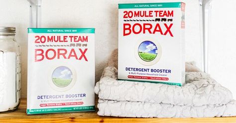 The Magic of Borax: 5 Amazing Household Uses You Never Knew Toxic For Cats, Dishwasher Smell, Borax Uses, Halloween Budget, Laundry Stripping, Laundry Booster, Rust Removers, Diy Laundry, Toilet Cleaner