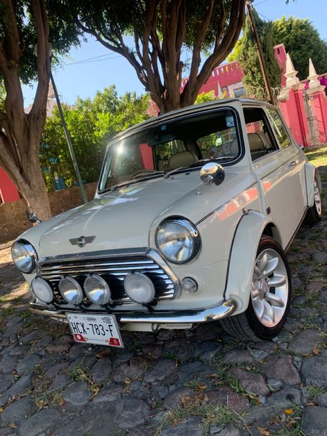 Rover Mini Cooper Old English White 1999 From Japan 🇯🇵 In Mexico 🇲🇽 Rover Mini Cooper, Old English, Mini Cooper, Coop, Japan, Cars, Collage, Pins, White