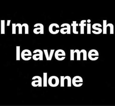 I know people that are CATFISH 😂🤣 Catfishing Quotes, Discord Catfish Pfp, Catfish Meme, Catfish Quotes, Catfish Pics To Use, Twst Oc, Catfish Pics, 2010s Fashion, Funny Emoticons