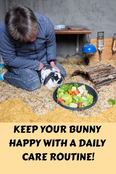 Discover the secrets to a happy and healthy rabbit with our comprehensive Rabbit Daily Care Routine! 🐇🌱 Learn how to create the perfect daily routine for rabbits, ensuring their well-being and happiness. 🕊️💖 From feeding tips to exercise ideas, we've got you covered on all aspects of bunny care. 🥕✨ Find out what is the daily routine of a rabbit and how you can incorporate it into your own schedule seamlessly. Rabbit Feeding Schedule, Rabbit Routine, Perfect Daily Routine, Daily Care Routine, Rabbit Feeding, Bunny Care, Rabbit Care, Exercise Ideas, Pet Rabbit