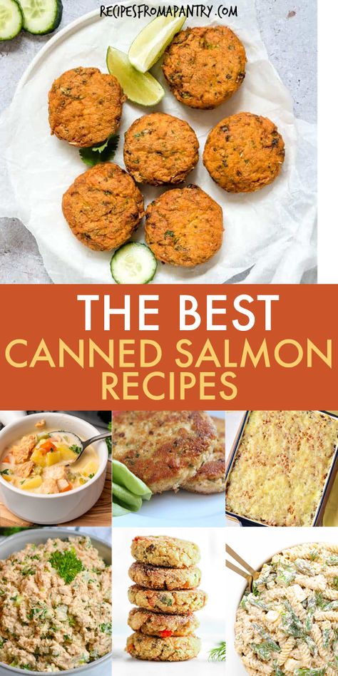 Salmon Macaroni Salad, Pink Salmon Recipes, Canned Salmon Salad, Salmon Stir Fry, Salmon Sushi Rolls, Salmon Soup, Canned Salmon Recipes, Quick Family Dinners, Salmon Croquettes