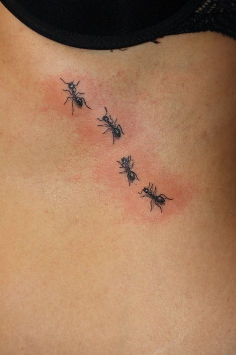 Bugs Tattoo Insects, Ant Tattoo Cute, Small Insect Tattoo, Cute Bug Tattoo, Little Bug Tattoo, Small Bug Tattoo, Bug Tattoo Design, Ants Tattoo, Bug Tattoo Ideas