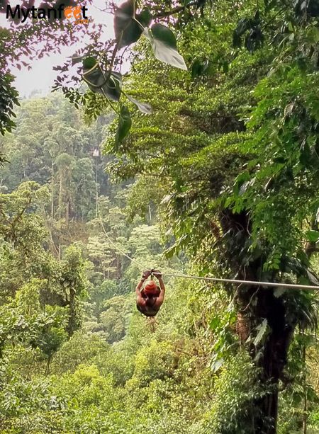 Ziplining Costa Rica, Twisted Games Costa Rica, Zipline Aesthetic, Coast Rica, Costa Rica Activities, Quepos Costa Rica, Cost Rica, Costa Rica Wildlife, Twisted Games