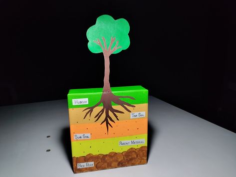 Soil Profile Model, Model For School Project, Soil Profile, Layers Of Soil, Project Work, Soil Layers, Clay Soil, Top Soil, School Project