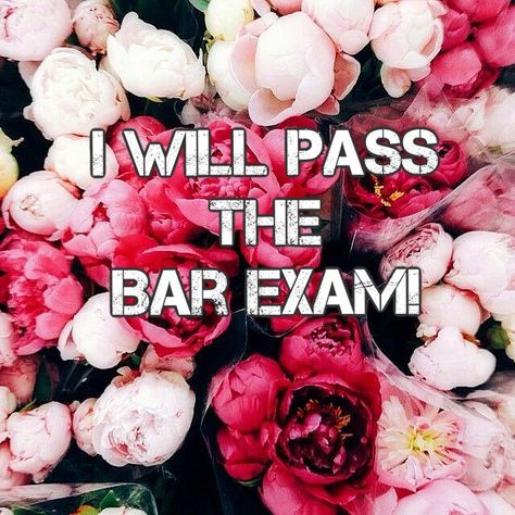 I will pass the bar exam Pass The Bar Exam Motivation, I Will Pass The Bar Exam, I Passed The Bar Exam, Bar Prep Motivation, Bar Exam Motivation, Passing The Bar Exam, Pass The Bar Exam, Future Attorney, Passing The Bar