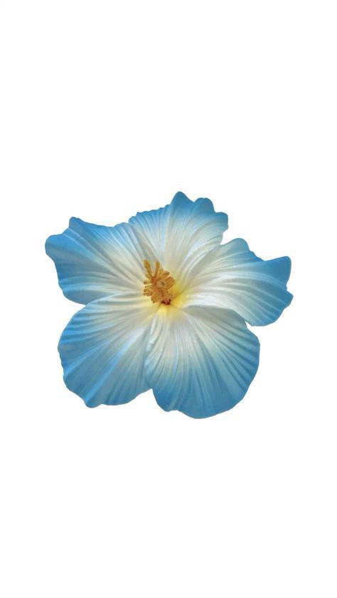 Hibiscus Flower Black Background, Blue Wallpaper Flower, Aesthetic Fleur, Hibiscus Flower Wallpaper, Flores Wallpaper, Blue Flowers Background, Photo Bleu, Blue Flower Wallpaper, Spiderman Art Sketch