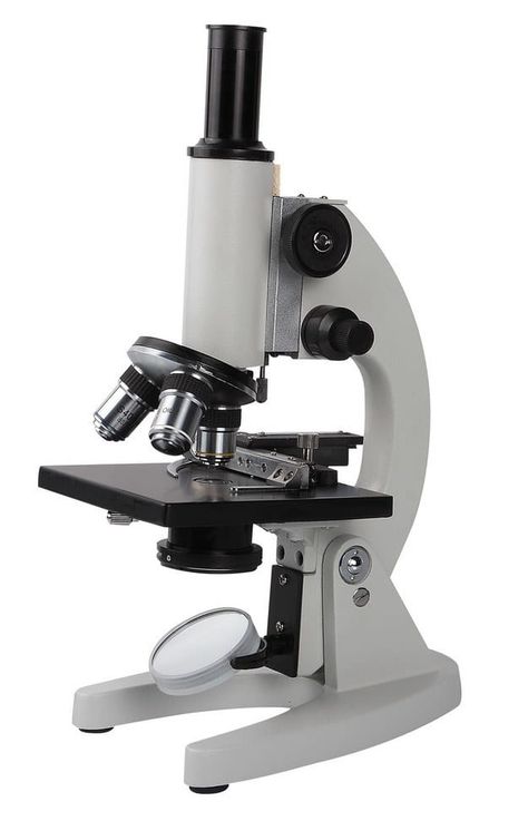 Microscope Pictures, Pocket Microscope, Concave Mirrors, Microscopic Photography, Basic Anatomy And Physiology, Science Tools, Biology Art, Microscopes, Laboratory Equipment