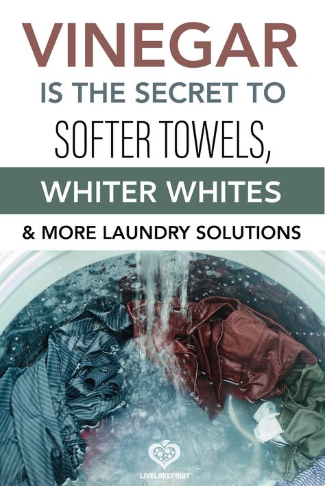 Using vinegar in the laundry in replacement of traditional harsh chemical softeners will naturally whiten, soften, brighten, and reduce odor. #laundry #vinegar #fabricsoftener #vinegarinlaundry #vinegarlaundryodor #vinegarlaundryuses Natural Antidiarrheal, Laundry Vinegar, Whiter Whites, Vinegar In Laundry, Laundry Help, Homemade Cleaning Supplies, Laundry Solutions, Homemade Cleaners, Vinegar Uses