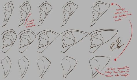 Draw pointy elf ears at various angles. Observe how they compare to human ears. How To Draw Elf Ears, How To Draw Ears, Drawing Details, Writing Childrens Books, D D Character Ideas, Elf Ears, Dragon Drawing, Art How, Human Art