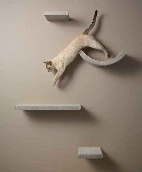 Minimal Shelves, Cats Accessories, Cat Climbing Wall, Cat Furniture Design, Cat Wall Shelves, Cat Wall Furniture, Cat Playground, Modular Walls, Cat Shelves