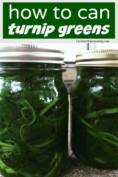 Easy recipe for canning turnip greens. You can also use this recipe for canning collard greens, spinach, beet greens, mustard greens, and more! #canning #creativehomemaking Canning Collard Greens, Canning Greens, Canning Soup Recipes, Canning For Beginners, Canning Granny, Leafy Green Vegetables, Turnip Recipes, Pickled Turnips, Easy Canning