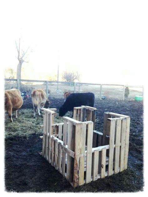 Pallet hay feeder Hay Feeders For Cows, Pallet Hay Feeder, Hay Hut, Fence Hay Feeder, Hay Feeder For Sheep, Horse Stall Corner Hay Feeder, Diy Pallet Goat Hay Feeder, Pallet Feeders Hay, Diy Hay Feeder