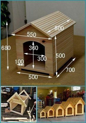 Start building with a collection of 12,000 shed plans! My Shed Plan is a complete guide that explains how you can build a beautiful shed from scratch. Given detailed blueprints and step by step instructions that even a beginner can follow. #shedhouseideas #shedbuildingplans #shed #shedbuilding #shedplans #shedhousesideas #shedding #shedhouse #shedideas #sheddesigns Pallet Dog House, Wood Dog House, Wooden Dog House, Dog House Plans, Outdoor Dog House, Cat House Diy, Pallet House, Dog House Diy, Wooden Dog