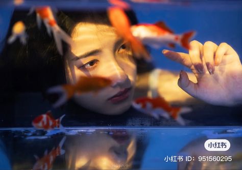 Looking Through Fish Tank, Goldfish Photoshoot, Goldfish Photography, Aquarium Photoshoot, Txt Moodboard, Human Reference, Body Reference Poses, Human Poses Reference, Foto Poses