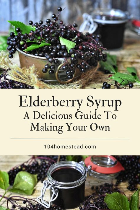 Elderberry Syrup: A Delicious Guide To Making Your Own Make Elderberry Syrup, Homemade Elderberry Syrup, Hollistic Health, Elderberry Syrup Recipe, Homemade Elderberry, Elderberry Recipes, Herbal Plants, Elderberry Syrup, Cold Prevention