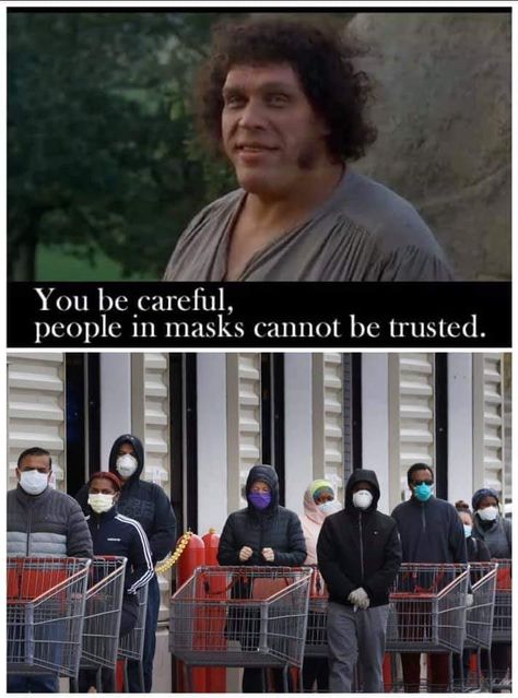 Princess Bride Meme, The Princess Bride, Famous Movie Quotes, Albert Einstein Quotes, In Memes, Princess Bride, Funny Movies, People Quotes, Old Movies