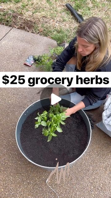 CRUCIAL FOUR on Instagram: "This is how you can start your very own herb garden even with a small space 🙌 Anyone wanting to get into gardening this year?   #gardening #organicgardening #herbgardening" In House Garden Ideas, Small Herb Garden Ideas, Potted Herb Garden Ideas, Balcony Herb Gardens, Herb Garden Ideas, Gardening Indoors, Small Herb Gardens, Small Vegetable Gardens, Indoor Herb