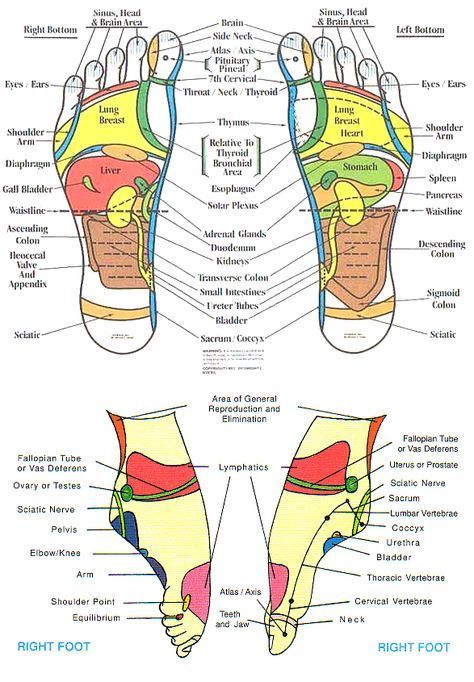 FOOT REFLEXOLOGY BENEFITS: HEALTH FOR THE WHOLE BODY Reflexology Benefits, Reflexology Foot Chart, Foot Reflexology Massage, Reflexology Chart, Reflexology Massage, Foot Reflexology, Acupressure Points, Foot Massage, Alternative Health