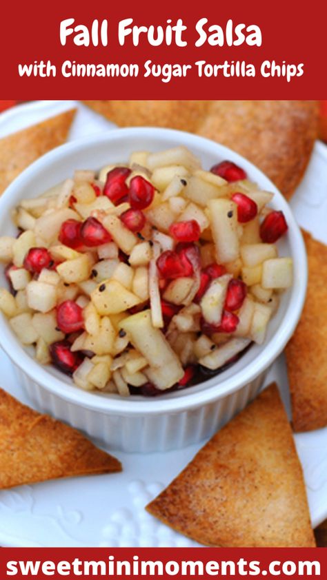 Fall Apple Appetizers, Fall Salsa Recipes, Apple Salsa Recipe, Winter Fruit Salsa, Cranberry Salsa Our Best Bites, Apple Pie Salsa And Cinnamon Chips, Cinnamon Chips With Fruit Salsa, Fruit Salsa And Cinnamon Chips, Cinnamon Pretzels