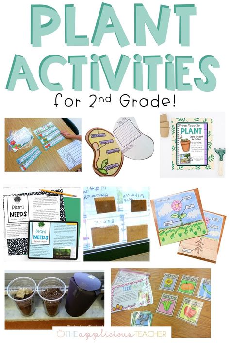 2nd Grade Thematic Units, Lesson Plan Second Grade, Plant Lessons For 2nd Grade, Amplify Science 2nd Grade, Homeschool Ideas 2nd Grade, Second Grade Science Lessons, 2nd Grade Projects Ideas, Second Grade Crafts Projects, 2nd Grade Unit Studies