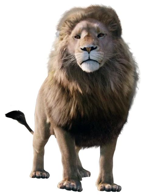 King Logo Png Hd, Lion Side View, Jadis The White Witch, Narnia Aslan, Logo Png Hd, Narnia Lion, Lion King Logo, Narnia Movies, Witches Castle