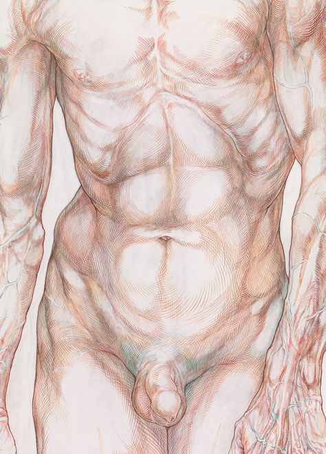 Art World: Paintings of Koen De Cock Croquis, Anatomy Pose, Male Body Drawing, Male Body Art, Drawing Anatomy, Male Cartoon Characters, Male Figure Drawing, Post Human, Human Figure Drawing