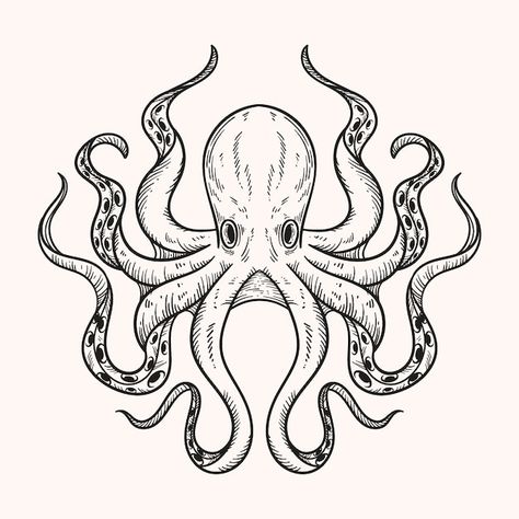 Octopus Head Drawing, Octopus Sketch Drawings, Octopus Outline Drawing, Octopus Vector Illustration, Octopus Sketch Simple, Cartoon Octopus Drawing, Draw Octopus Easy, Octopus Illustration Graphic Design, Octopus Easy Drawing