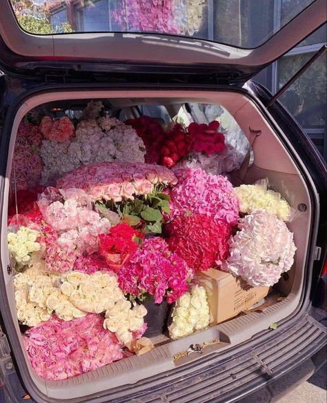 Nothing But Flowers, The Trunk, Flower Therapy, Luxury Flowers, Spring Aesthetic, Flower Lover, Love Flowers, My Flower, Flower Shop